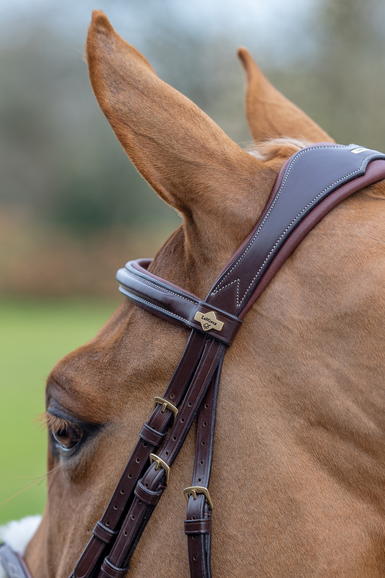 Pull Back Halter Made From Leather - Two Horse Tack