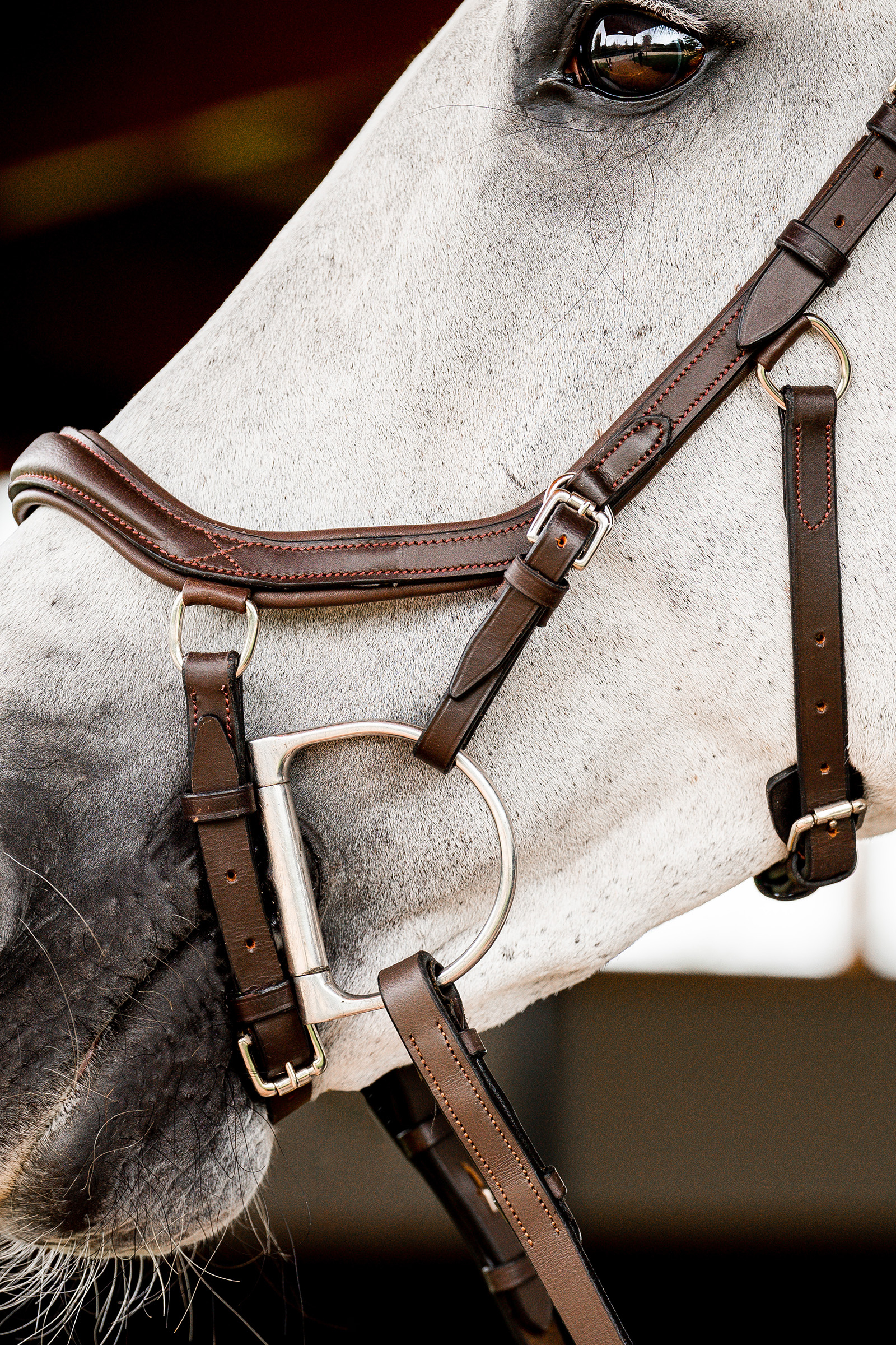 Buy Rambo Micklem® Competition Bridle Extension Strap Online - Horsewa