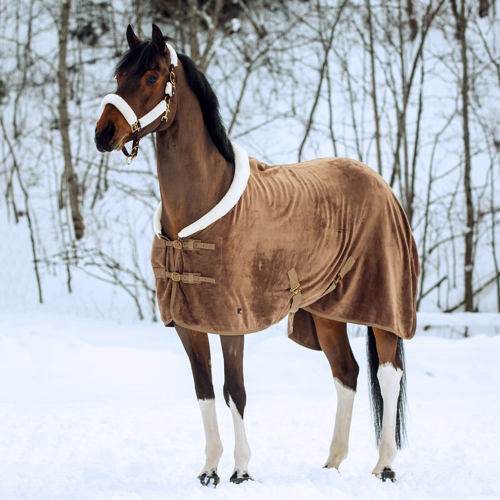 Buy Horze Lincoln Fleece Rug with Fur Collar | horze.com