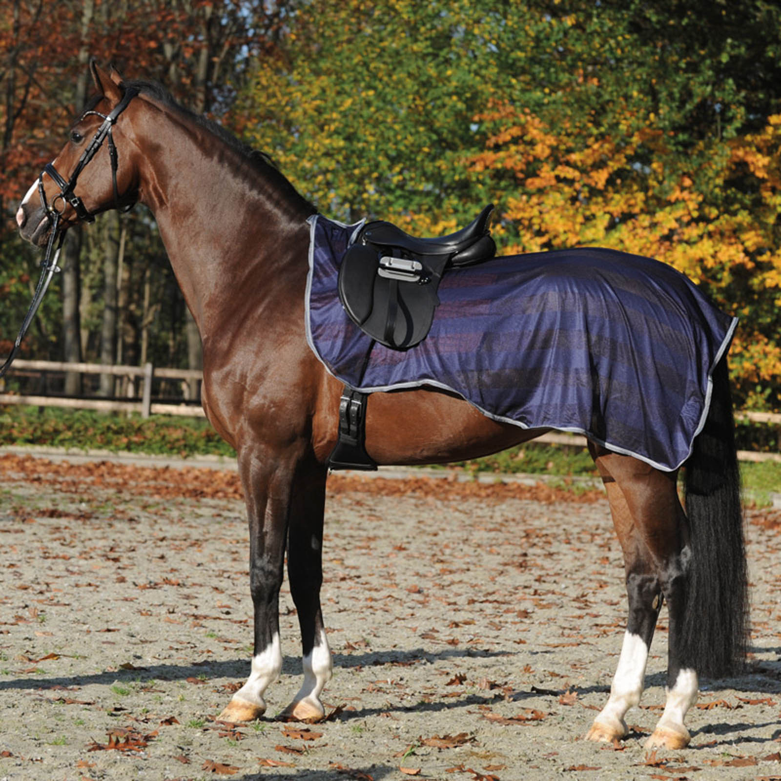 Horse Size Quarter Sheet, Exercise Sheet /rug for Horses Solid