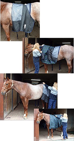 Horse Rugging Guide: What Horse Rug Size, Weight & Type Do You Need?